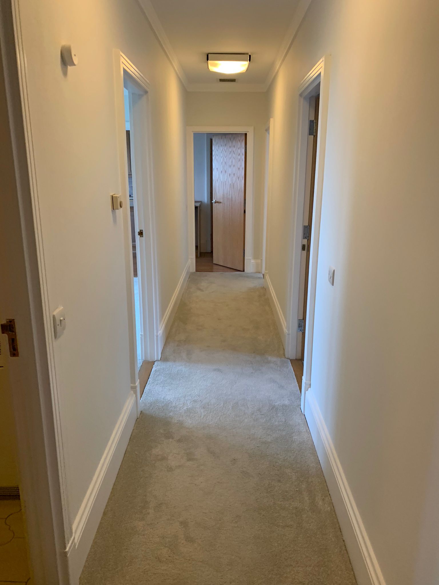New neutral carpet running along a finished hallway
